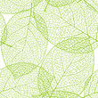 Fresh green leaves background - vector illustration