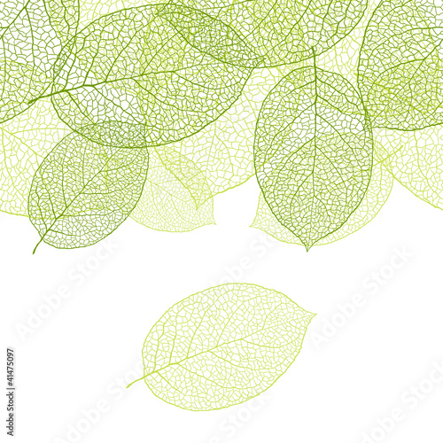 Vector: Fresh green leaves background - vector illustration Fresh green leaves background - vector illustration
