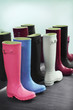 Wellingtons