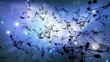 space constellation flight - loopable cg animation space constellation flight - loopable cg animation