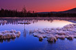 Foto: Frozen moor dawn Frozen moor dawn