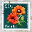 Foto: Canceled stamp of Poland "Oriental poppy" Canceled stamp of Poland "Oriental poppy"