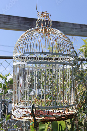 Photo: bird cage bird cage
