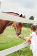 Feeding a horse