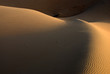 Dunes in Abu dhabi