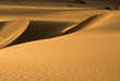 Dunes in Abu dhabi