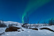 Aurora Borealis in Sweden