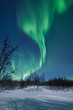 Aurora Borealis in Sweden