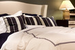 Plush contemporary Bed