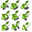 Swoosh alphabet with leaf icon