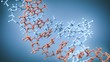 Exact representation of DNA structure - 3D Exact representation of DNA structure - 3D