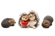Igel mit Herz Igel mit Herz
