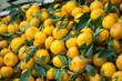 tangerine