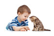 kid playing with cat pet