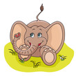 Baby Elephant