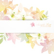 lilies background