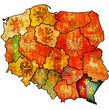 podkarpackie region
