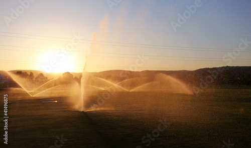 Photo: Irrigating Of A Green Grass at sunset Irrigating Of A Green Grass at sunset