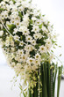 Beautiful beach wedding set-up.