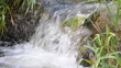 Wildbach im Schwarzwald