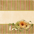 Beautiful greeting card