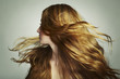 Portrait of young beautiful woman with long flowing hair