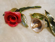rose and calla