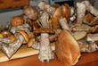 Mushrooms