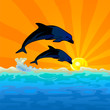dolphin jump with sunset background