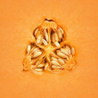 Photo: Cantaloupe Melon Inside Cantaloupe Melon Inside