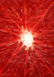 Photo: Grapefruit close-up Grapefruit close-up