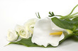 Calla e ranuncoli