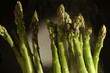 Asparagus officinalis