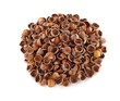 Gusci di nocciole Gusci di nocciole