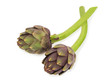 Two Artichokes
