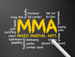 Mixed Martial Arts