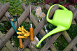 Pflanzen Garten Werkzeug