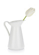 White tulip in a jug White tulip in a jug