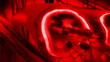 Human blood arteries and veins cut section