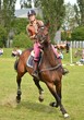 sport equestre