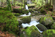 Bachlauf im Wald