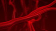 Human blood arteries and veins
