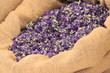 A bag full of lavander flowers
