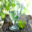 Waldmeister