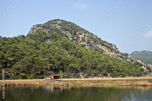 Photo: Reeds in Dalyan, Mugla, Turkey Reeds in Dalyan, Mugla, Turkey
