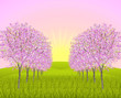 Apple blossom morning