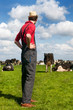 Typical Dutch landscape with farmer and cows Typical Dutch landscape with farmer and cows