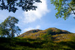 Hill