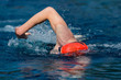 Schwimmer im Wettkampf