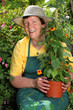 Photo: Senior woman gardener Senior woman gardener